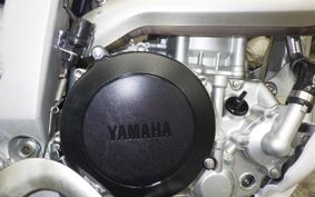 YAMAHA WR250R 2019 DG15J