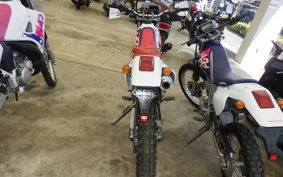 HONDA XR250R