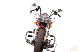 HARLEY FLSTF 2015 BXV
