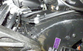 YAMAHA X-MAX 250 Trike 2019 SG70J