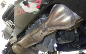 KAWASAKI NINJA 1000SX 2024 ZXT02K