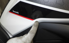 BENELLI TRK502X 2025