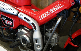 HONDA CT125 HUNTER CUB JA55