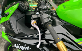 KAWASAKI NINJA ZX-6R 2019 ZX636G