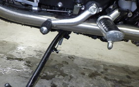 TRIUMPH BONNEVILLE T100 2024