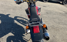 KAWASAKI KLX250 LX250E