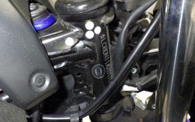 SUZUKI GSX250 R 2020