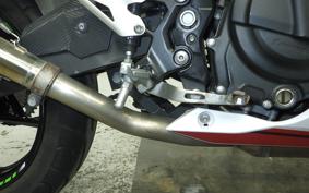 KAWASAKI NINJA 250 EX250P