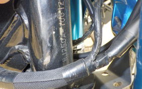 KAWASAKI ESTRELLA 2023 BJ250A