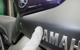 YAMAHA MT-09 2014 RN34J