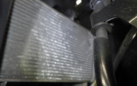 YAMAHA YZF-R25 2016 RG43J