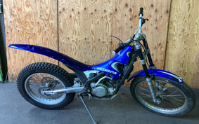 SCORPA SY250