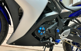 YAMAHA YZF-R25 RG10J