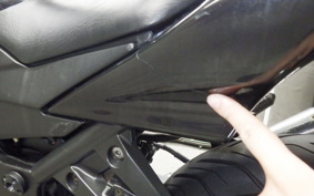 KAWASAKI NINJA 250R 2023 EX250K