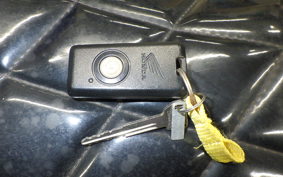 HONDA FORZA Z 2006 MF08