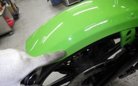 KAWASAKI Z1100 GP 2026 KZT10B