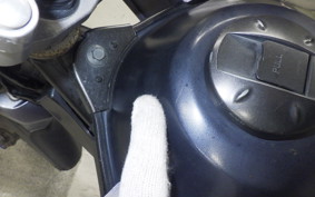 YAMAHA SEROW 250 2024 DG11J