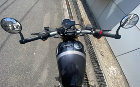 TRIUMPH SPEED 400 2024 T127Y2