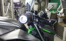 KAWASAKI Z250 Gen.2 2023 EX250Y