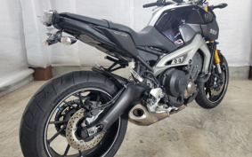 YAMAHA MT-09 2014 RN34J
