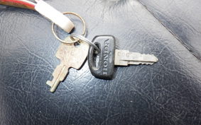 OTHER +UNREGISTERED MODEL by BDS 505C