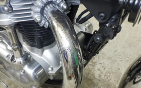 KAWASAKI W800 2024 EJ800E