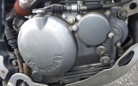 KAWASAKI SUPER SHERPA KL250G
