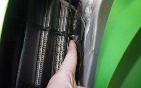 KAWASAKI KX250 2024 KX252C