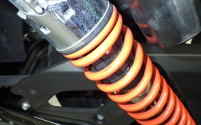 HARLEY XG750 STREET ROD 2020