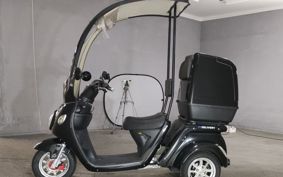 OTHER  BLAZE EV DELIVERY  ..