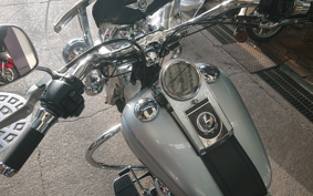HARLEY FLSTC 2004 BJY