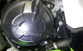 KAWASAKI NINJA 250 SL BX250A