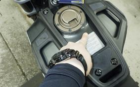 HUSQVARNA SVARTPILEN 250