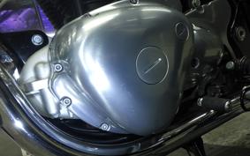 KAWASAKI W800 2022 EJ800E