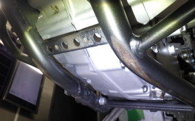 KAWASAKI KLX250D TRACKER X 2007 LX250V