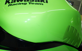 KAWASAKI NINJA ZX-6R A 2021 ZX636G