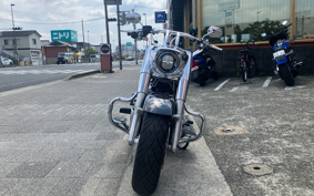 HARLEY FLFBS 2021 YGK