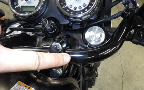 KAWASAKI W800 CAFE 2020 EJ800B