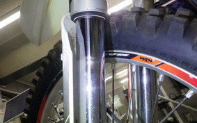 KTM 250 FREERIDE R 2021