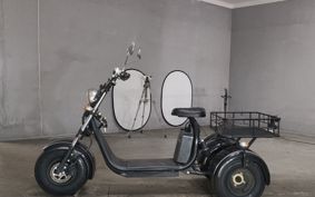 OTHER BURE CHAIR EV TRIKE  ..