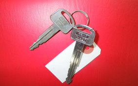 HONDA MONKEY BAJA 2024 Z50J