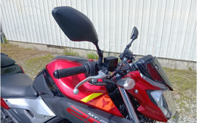 YAMAHA MT-25 RG10J