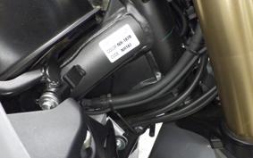 HONDA CRF250L 2021 MD47
