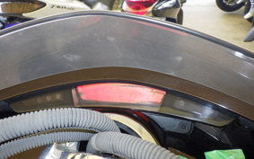 YAMAHA MAXAM 250 SG21J