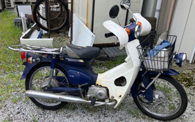 HONDA SUPER CUB50 C50