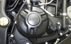 YAMAHA MT-25 A 2007 RG43J