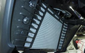 YAMAHA MT-25 A 2014 RG74J