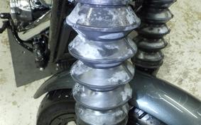 HARLEY FXBB1920 2025