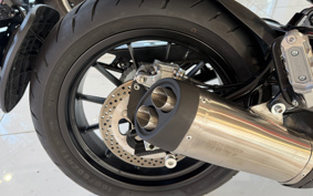 HARLEY X500 2024 W5B