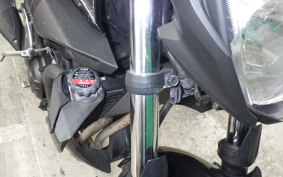 YAMAHA MT-25 2023 RG10J